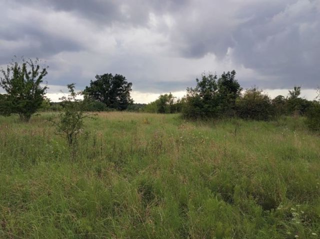 Działka budowlana Krzynki. Zdjęcie 1