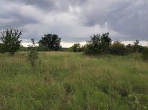 Działka budowlana Krzynki