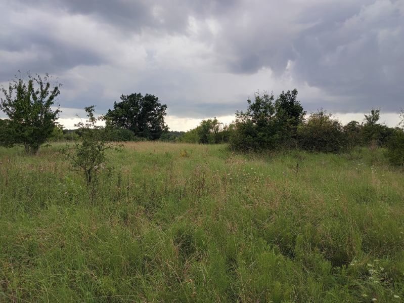 Działka budowlana Krzynki