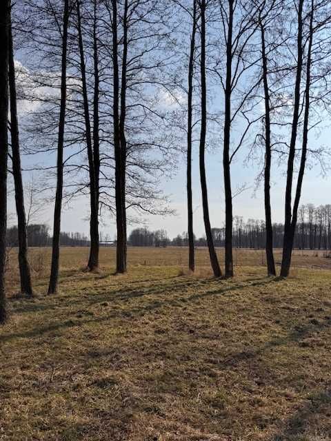 Działka rekreacyjna Sowia Wola. Zdjęcie 2