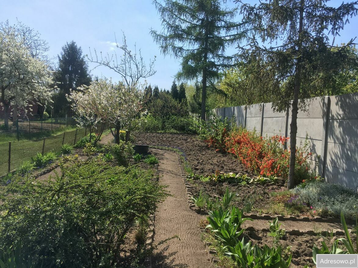 Działka rod Wrocław Fabryczna, ul. Szczecińska. Zdjęcie 2