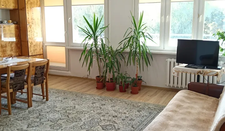 Mieszkanie 2-pokojowe Bełchatów, os. Okrzei