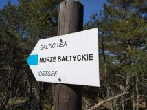 Działka inwestycyjna Smołdziński Las. Zdjęcie 1