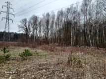 Działka rolno-budowlana Zakręt, ul. Podgórna. Zdjęcie 3