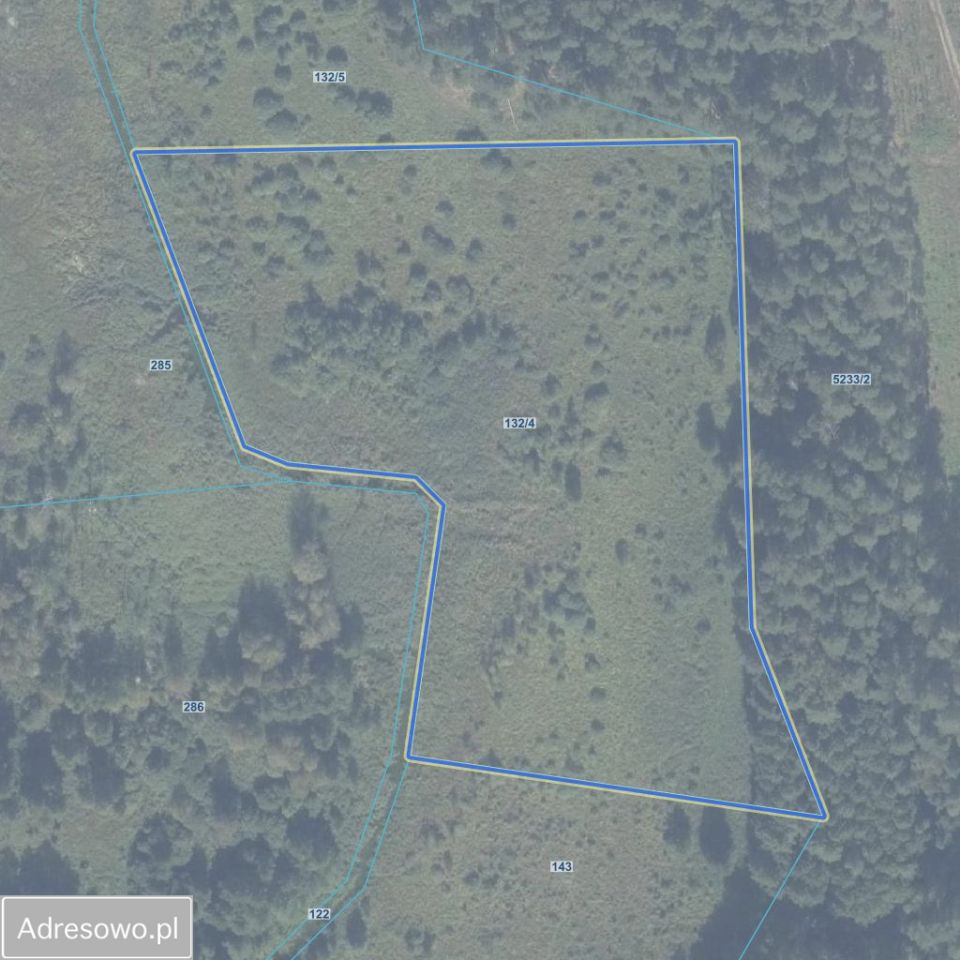 Działka inwestycyjna Miętkie. Zdjęcie 2