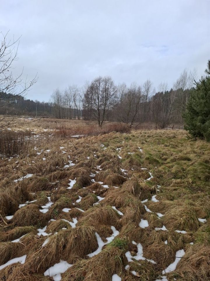 Działka rekreacyjna Jejkowice. Zdjęcie 4