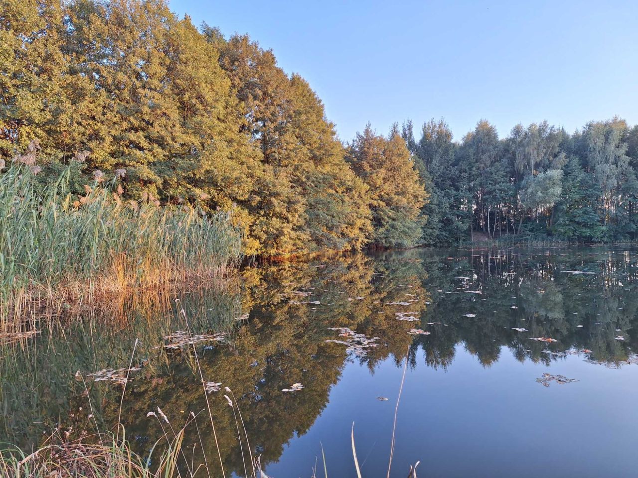 Działka rolna Siedlików. Zdjęcie 3