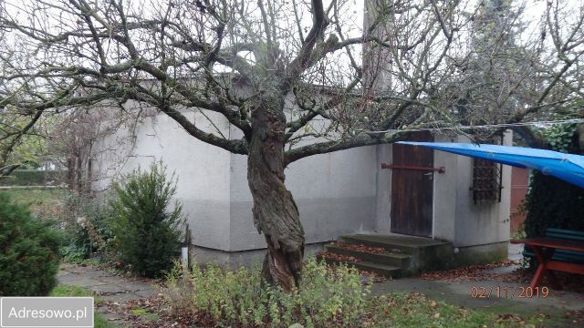 Działka rolno-budowlana Świecie, ul. Jemiołowa. Zdjęcie 8