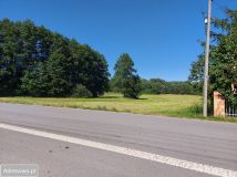 Działka rolno-budowlana Roszkowa Wola. Zdjęcie 1