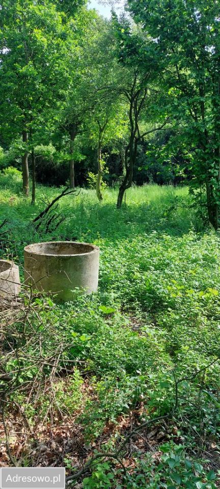 Działka budowlana Radom Krychnowice, ul. Ludwinowska. Zdjęcie 2