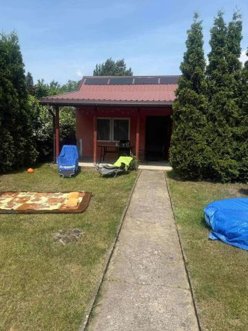 Działka rod Ozorków. Zdjęcie 1