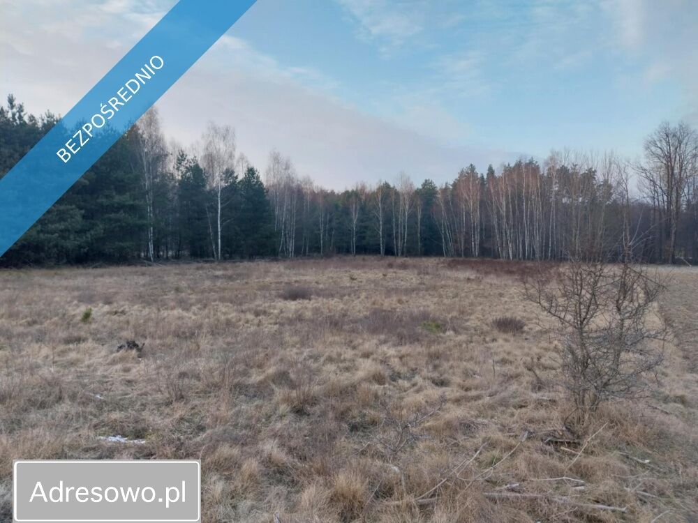 Działka rolna Marysin. Zdjęcie 8