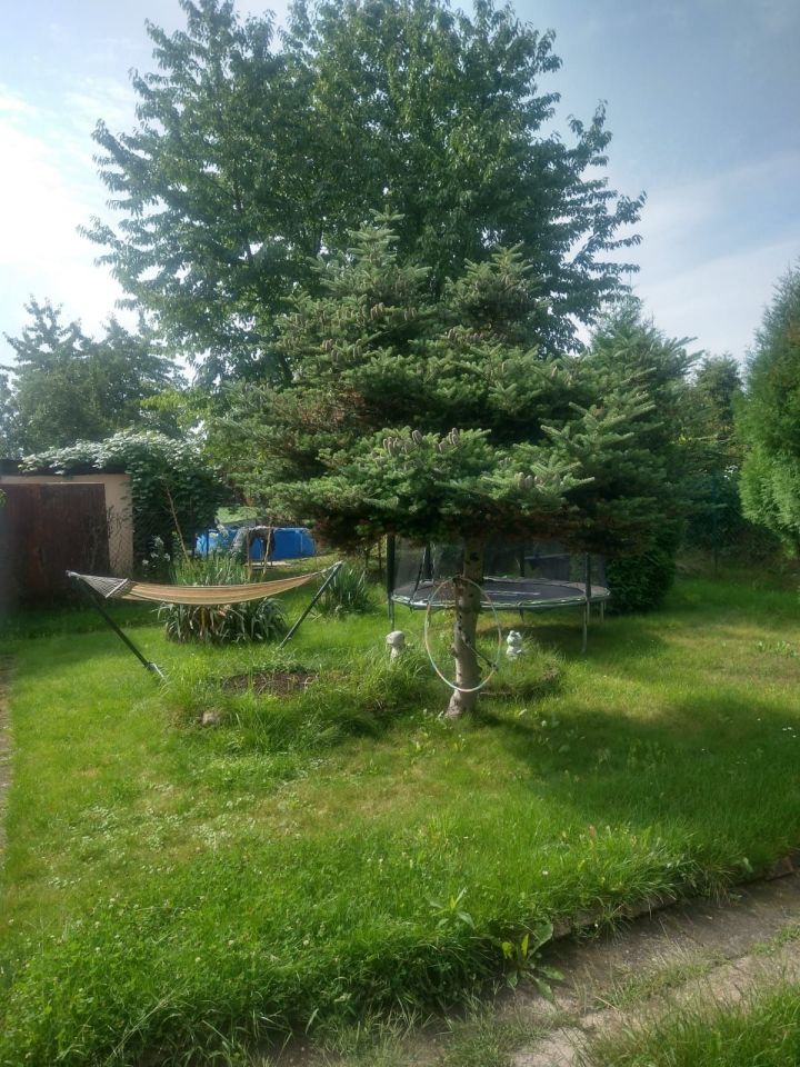 Działka rod Bytom. Zdjęcie 2