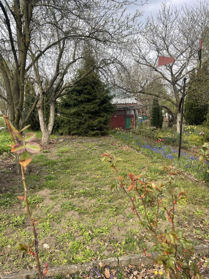 Działka rod Kędzierzyn-Koźle. Zdjęcie 7