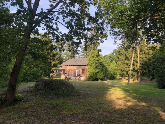 Działka siedliskowa Dębówka. Zdjęcie 1