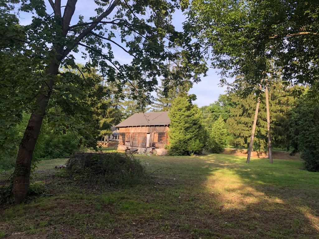 Działka siedliskowa Dębówka. Zdjęcie 1