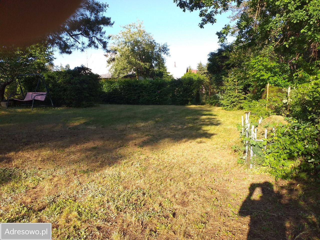 Działka rod Miodówko. Zdjęcie 7