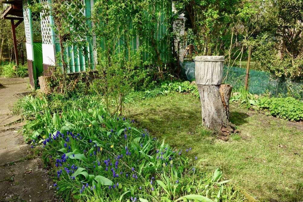 Działka rod Poznań Stare Miasto, ul. Klaudyny Potockiej. Zdjęcie 6