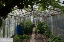 dom wolnostojący, 5 pokoi Ostrzeszów, ul. Młyńska. Zdjęcie 1