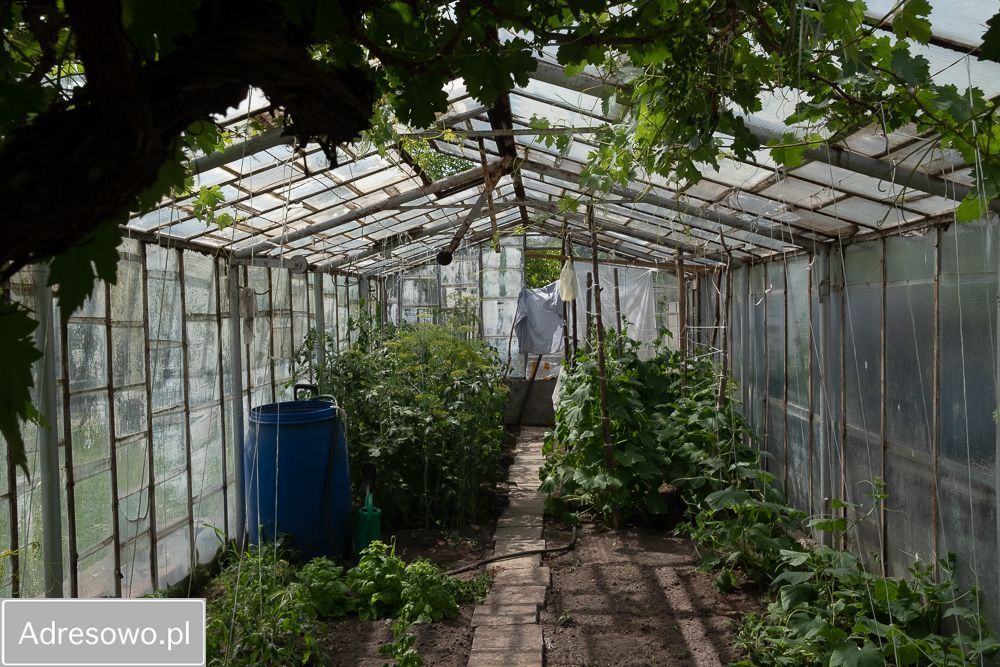 dom wolnostojący, 5 pokoi Ostrzeszów, ul. Młyńska. Zdjęcie 2