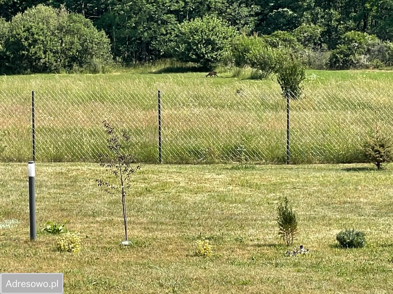 dom wolnostojący, 4 pokoje Popielów. Zdjęcie 6