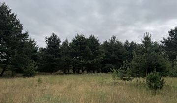 Działka budowlana Nowe Biskupice