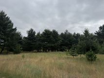 Działka budowlana Nowe Biskupice. Zdjęcie 1