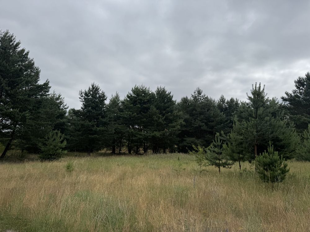 Działka budowlana Nowe Biskupice. Zdjęcie 2