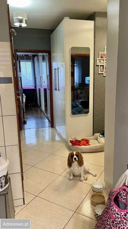 Mieszkanie 3-pokojowe Częstochowa Tysiąclecie, ul. Kwiatkowskiego. Zdjęcie 4