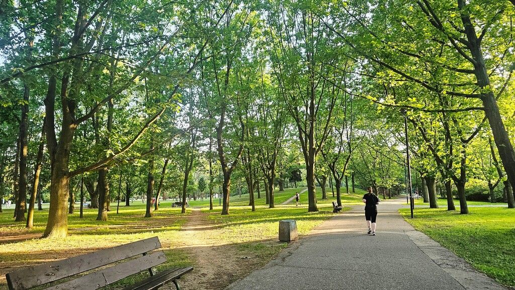 Mieszkanie 3-pokojowe Warszawa, ul. Wyszogrodzka. Zdjęcie 14