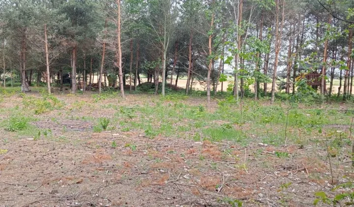 Działka budowlana Święte Laski