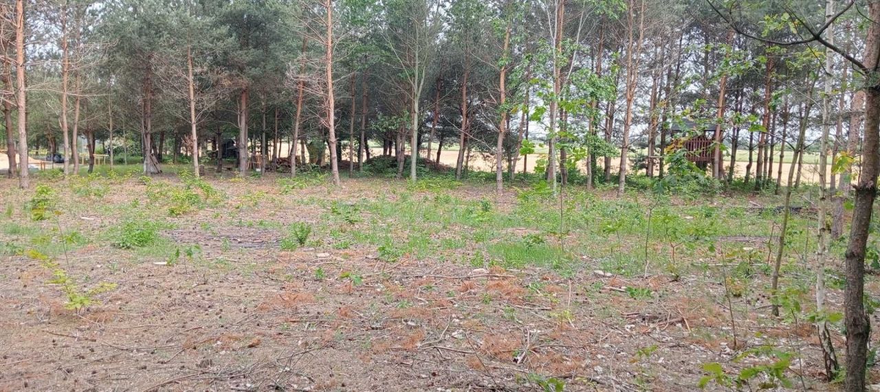 Działka budowlana Święte Laski