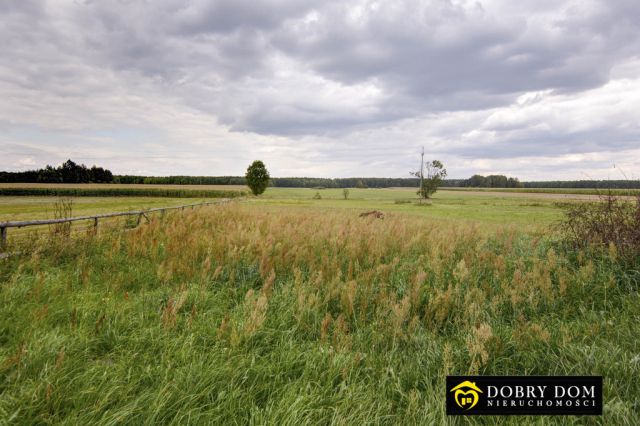 dom wolnostojący, 3 pokoje Malec. Zdjęcie 31