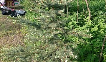 Działka budowlana Nowa Wieś