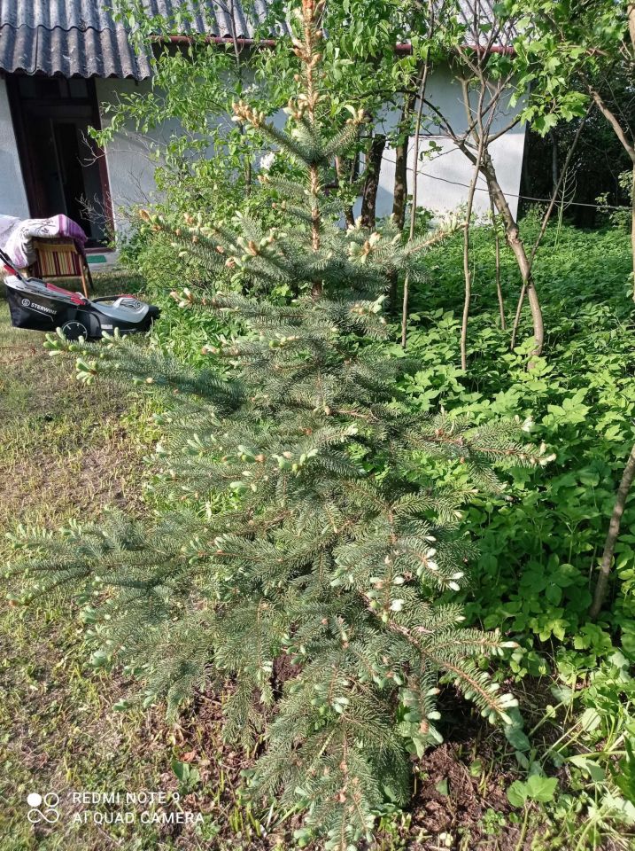 Działka budowlana Nowa Wieś. Zdjęcie 2