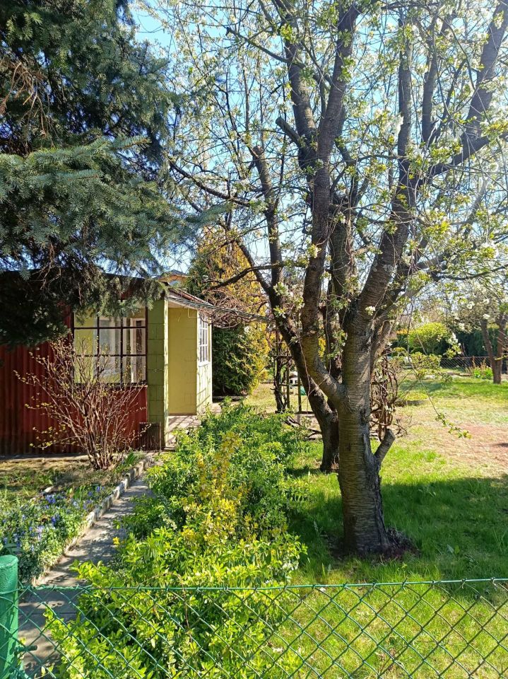 Działka rod Jaryszki. Zdjęcie 7