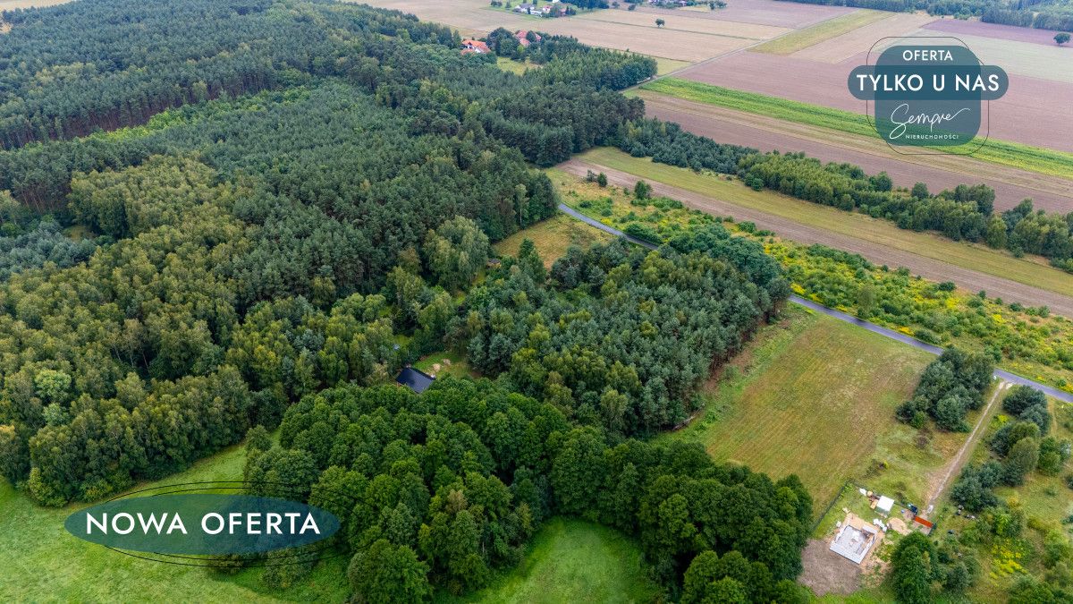 Działka inwestycyjna Chociszew. Zdjęcie 6