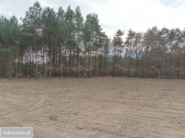 Działka budowlana Grabiny. Zdjęcie 1