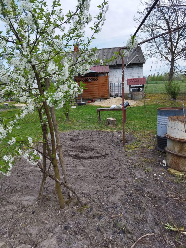 Działka siedliskowa Kępa. Zdjęcie 2