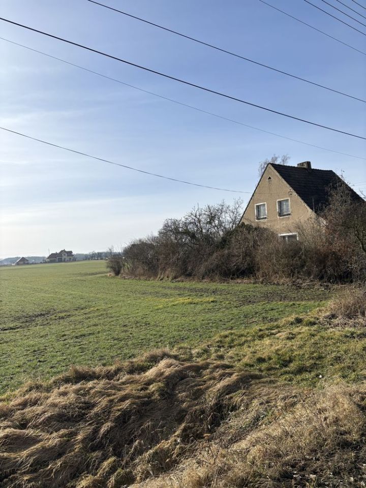 Działka budowlana Uciechów. Zdjęcie 4