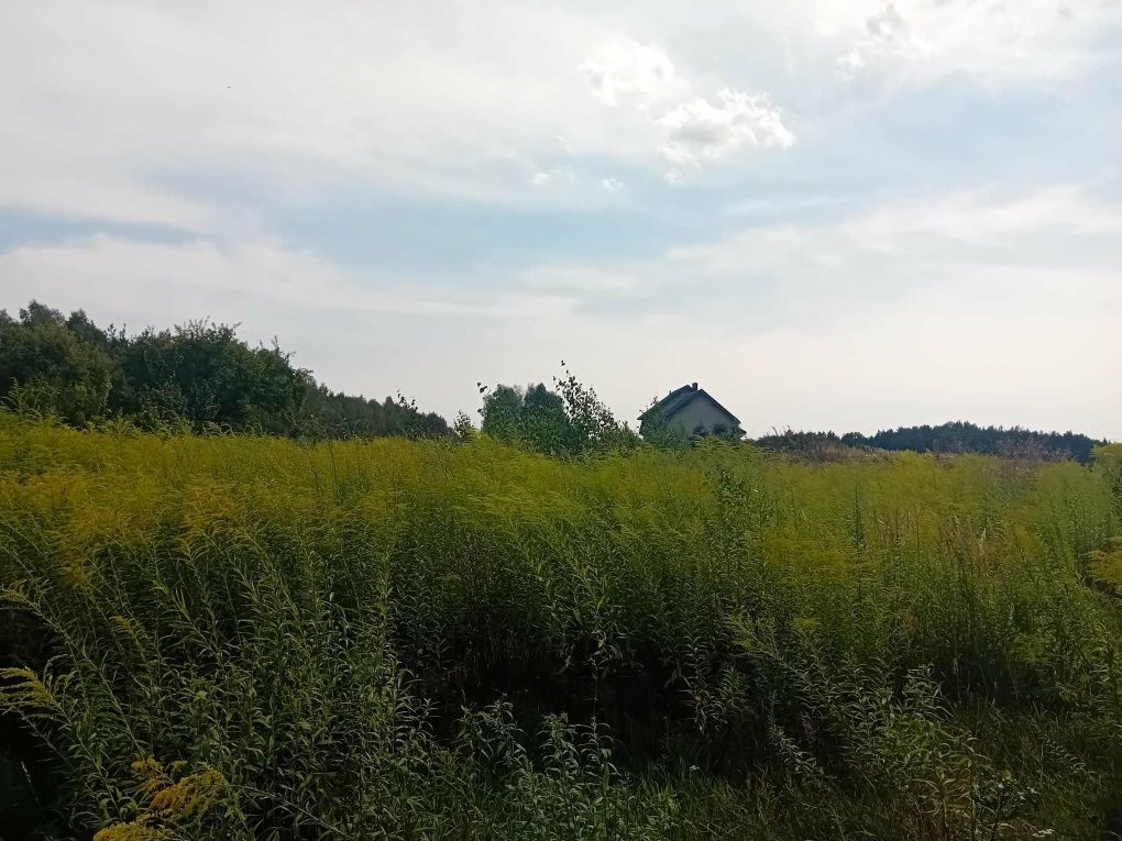 Działka Reczków Nowy. Zdjęcie 6