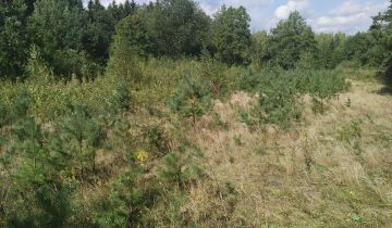 Działka budowlana Księżyno, ul. Alberta