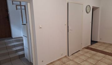 Lokal Wrocław Stare Miasto, pl. Katedralny