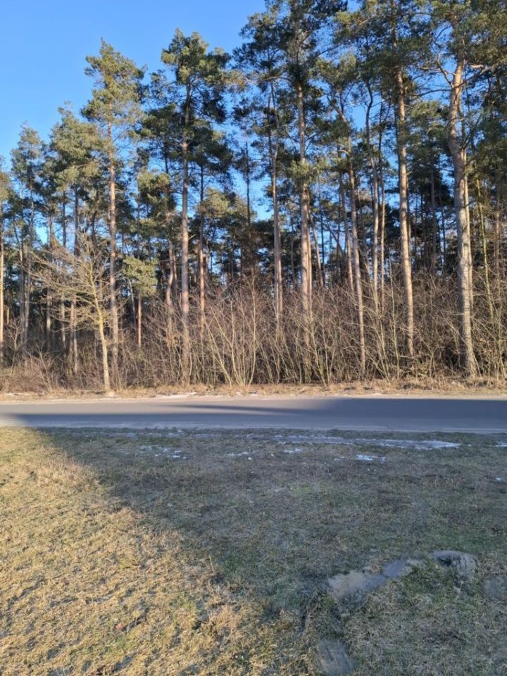 Działka budowlana Strzyżew, ul. Brzozowa. Zdjęcie 5