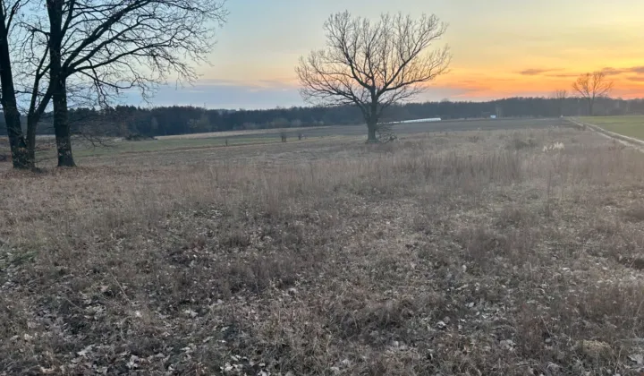 Działka rolno-budowlana Promna