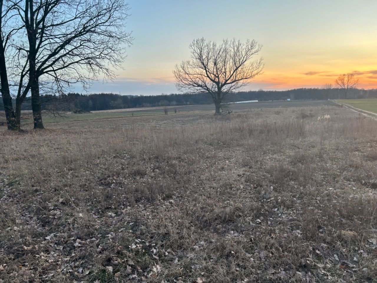 Działka rolno-budowlana Promna. Zdjęcie 1