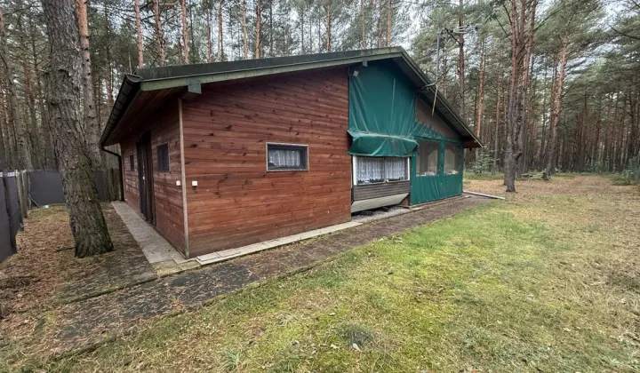 Działka leśna Przybynów