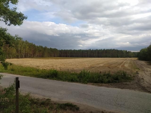 Działka budowlana Józefowo. Zdjęcie 5