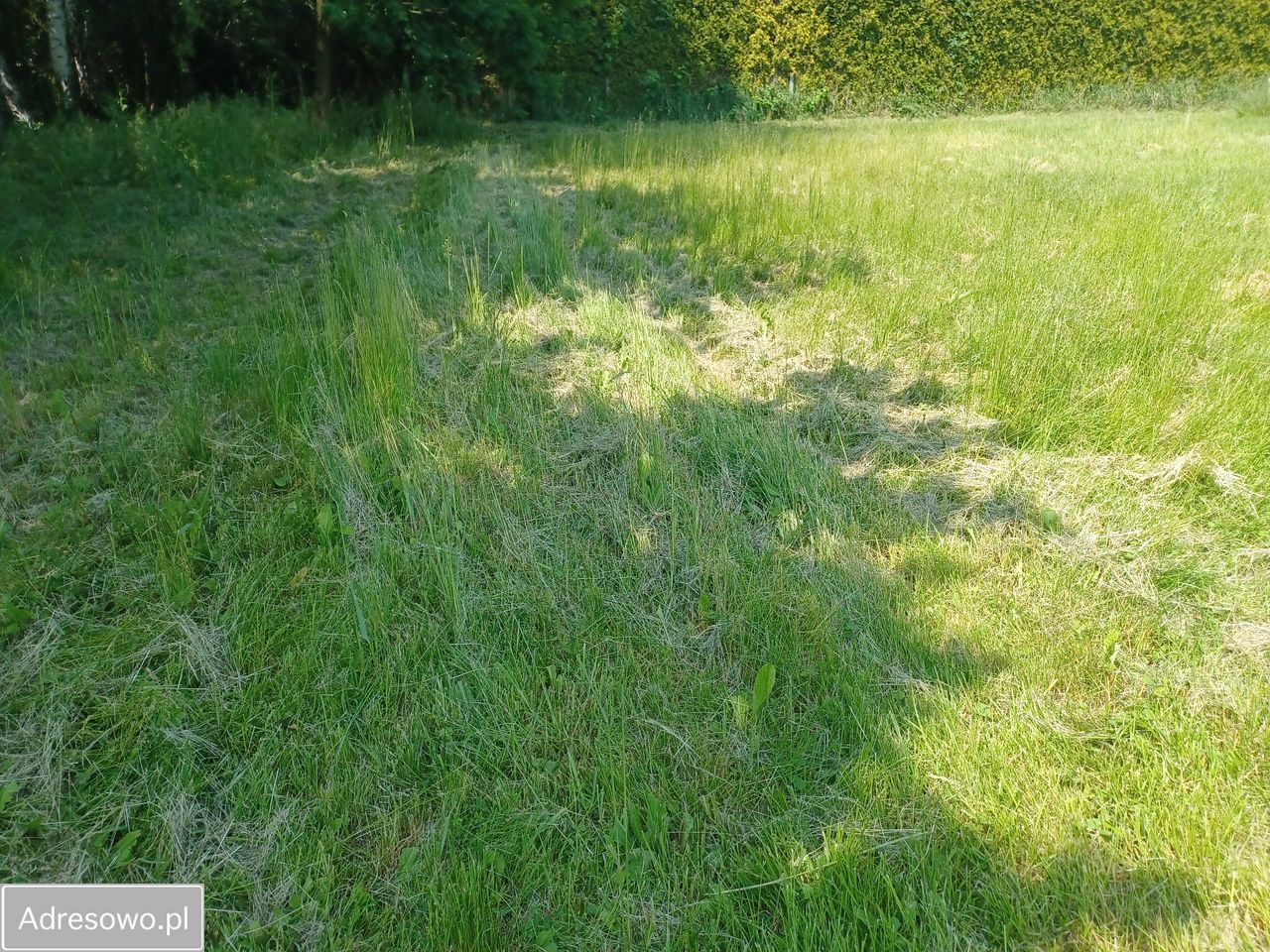 Działka budowlana Zabrze Kończyce, ul. Konrada Sitki. Zdjęcie 2