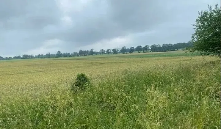 Działka budowlana Sowno